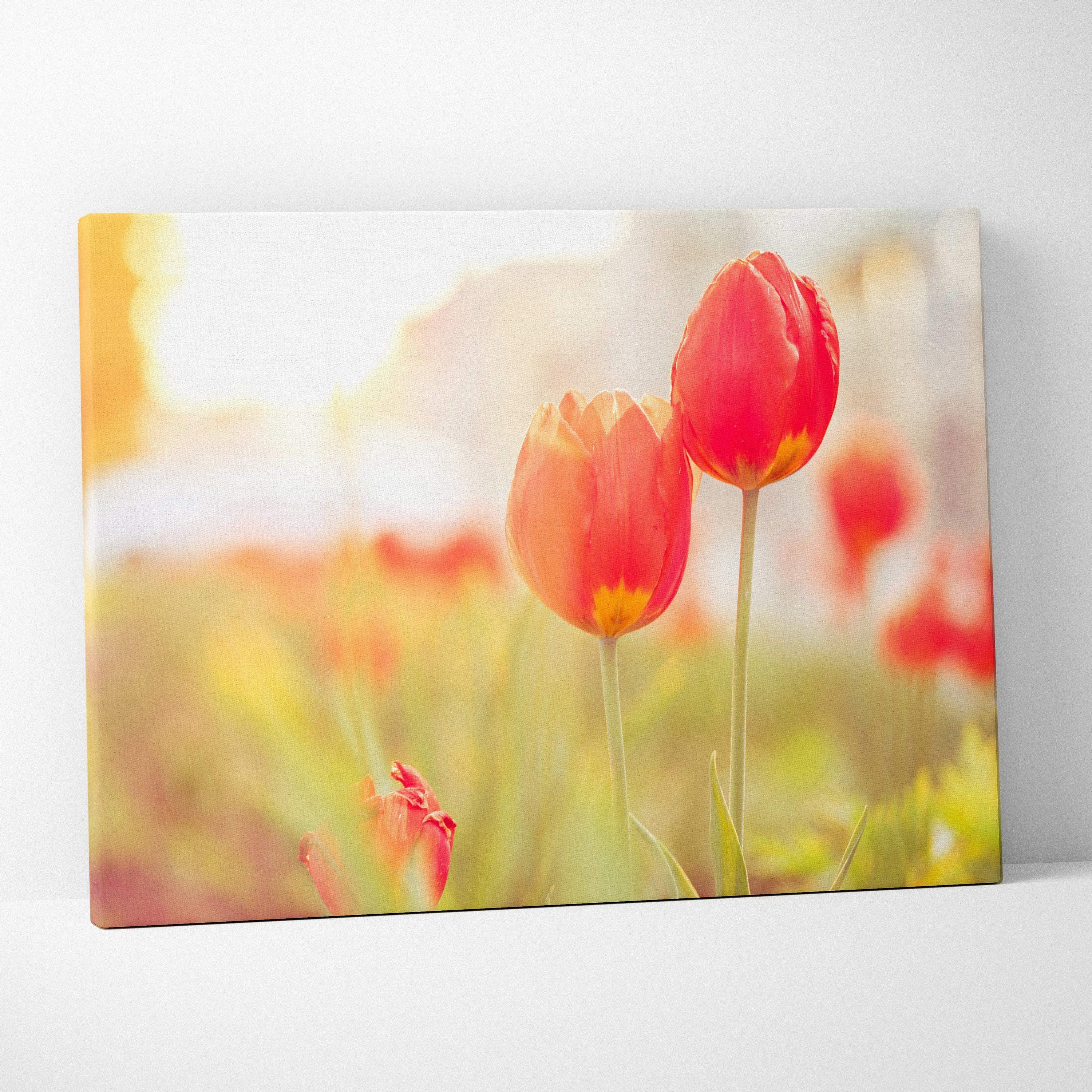 Red tulips floral canvas wall art with soft focus and warm lighting for elegant decor.