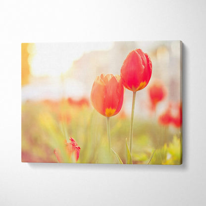 Red tulips close-up on canvas wall art with soft glowing background for elegant decor.