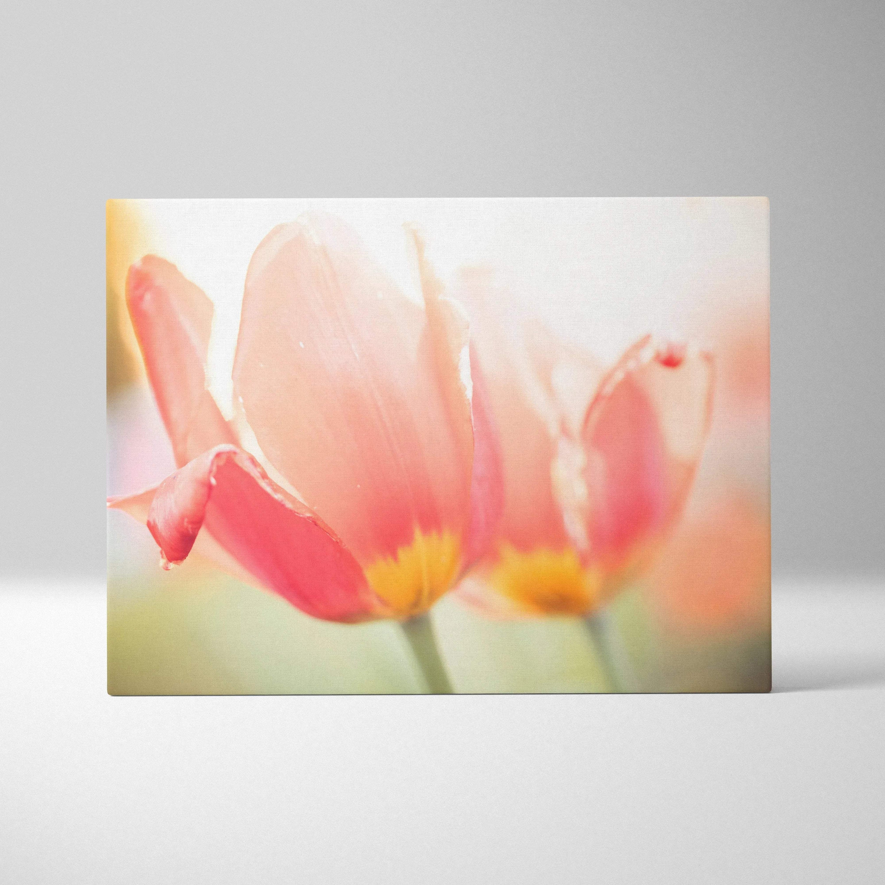 Vibrant red tulips close-up floral canvas wall art with soft pastel background decor.