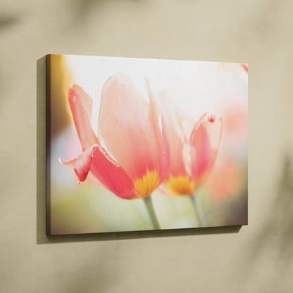 Canvas wall art featuring vibrant red and pink tulips with soft focus and warm lighting decor.