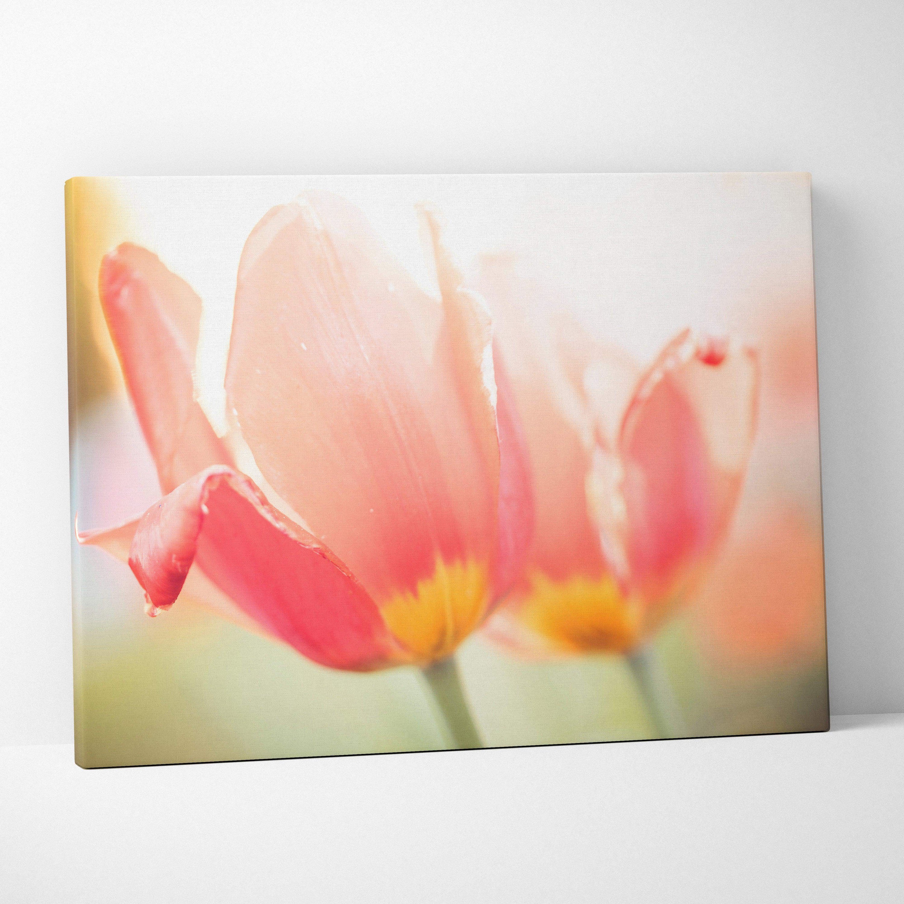 Canvas wall art featuring soft-focus close-up of pink tulips with yellow centers, floral decor.