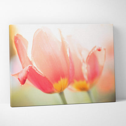 Canvas wall art featuring soft-focus close-up of pink tulips with yellow centers, floral decor.
