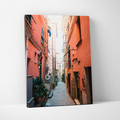 Narrow alleyway between tall, salmon-colored buildings with windows and outdoor plants on a vertical canvas wall art print.