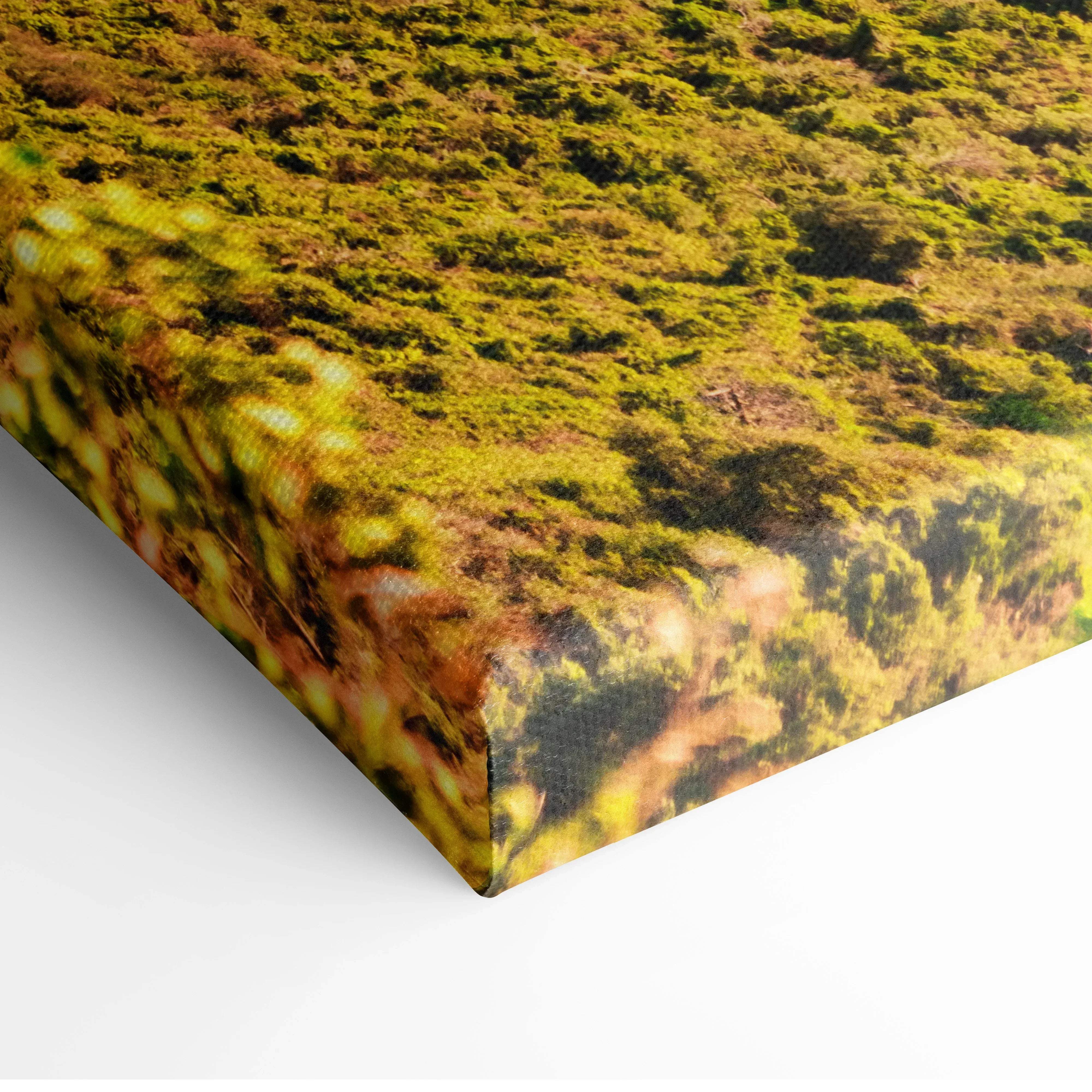 A vibrant coastal architecture canvas wall art with a textured mossy landscape in rich greens and earthy browns