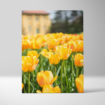 Vibrant yellow tulip field canvas wall art for bright home decor