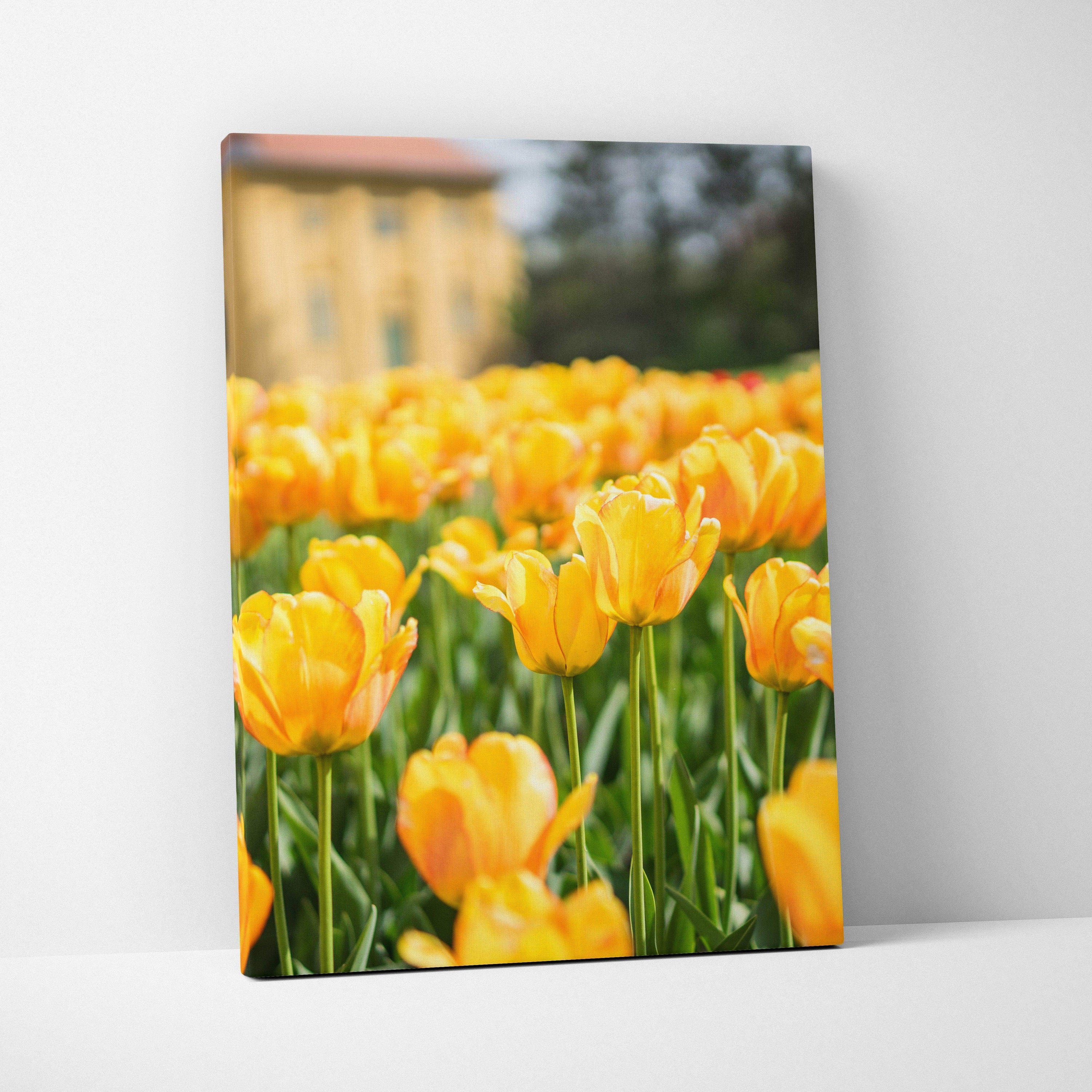 Vibrant yellow tulip field canvas wall art with green stems, sunny mood decor
