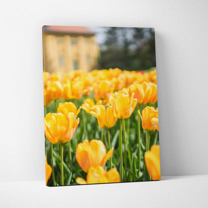 Vibrant yellow tulip field canvas wall art with green stems, sunny mood decor