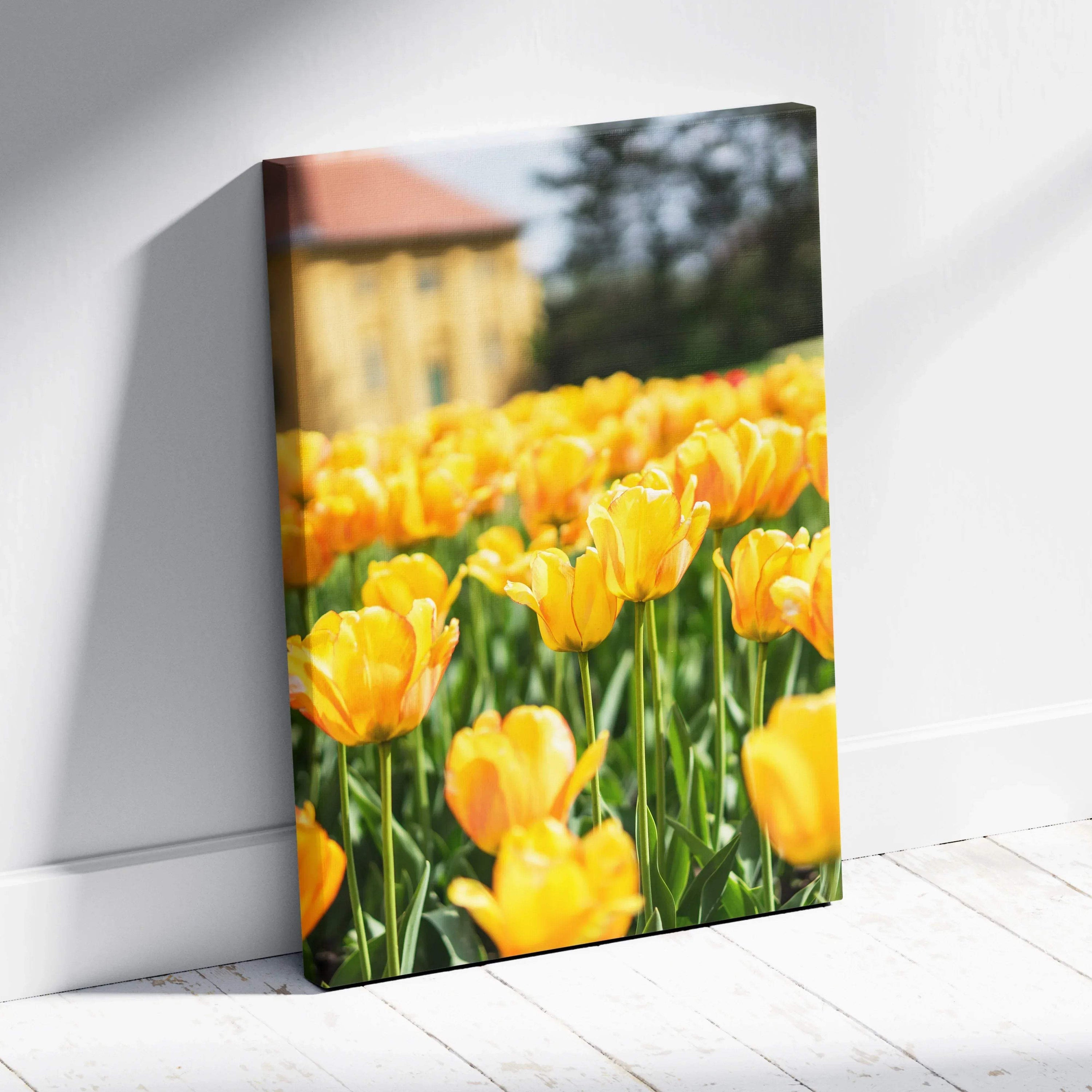 Vibrant yellow tulip field canvas wall art with green stems, blurred background