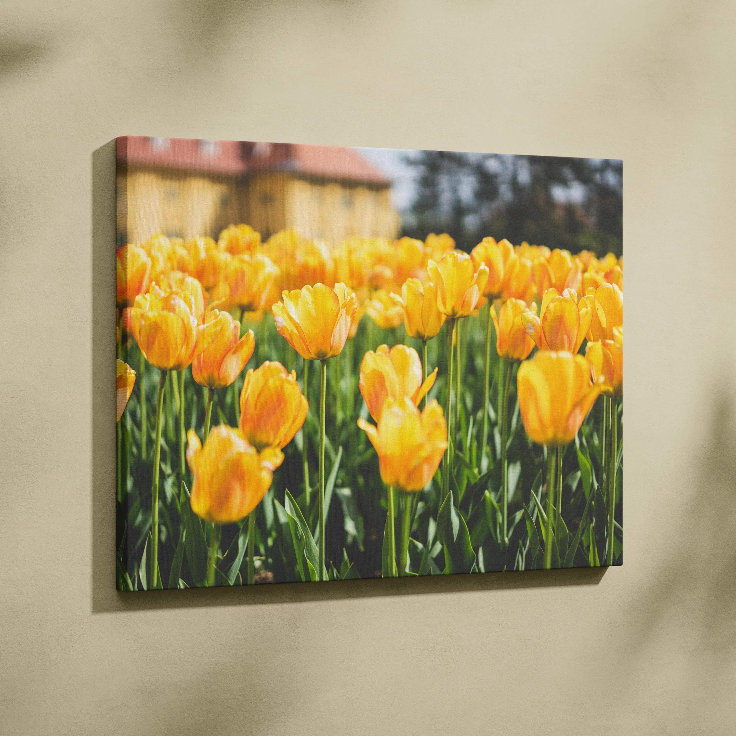 Yellow tulip field canvas wall art print with vibrant floral decor and natural outdoor background.