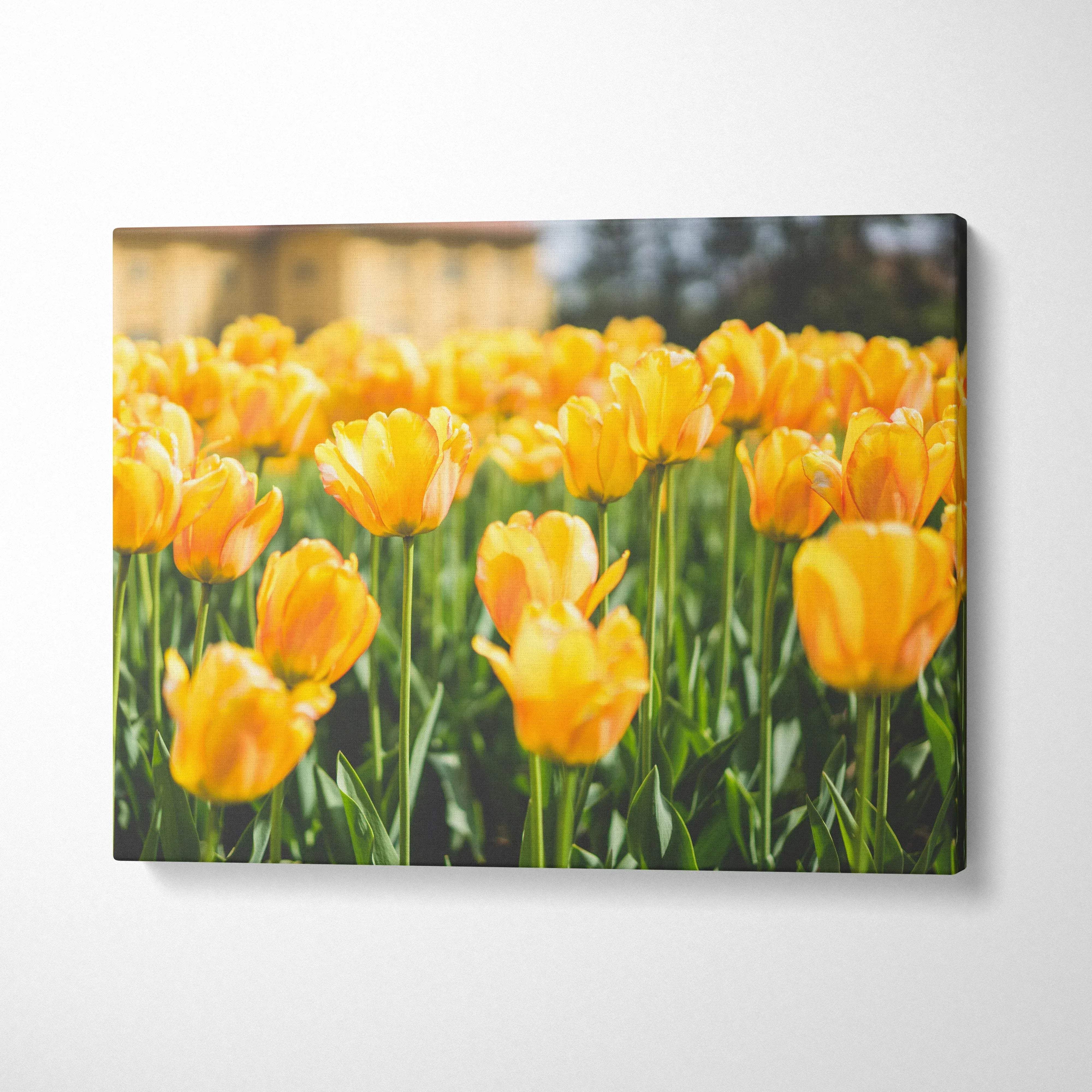 Yellow tulips floral canvas wall art with vibrant blooms and green stems, bright home decor.