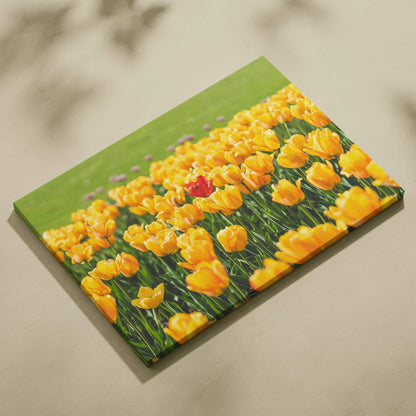 Yellow tulips floral canvas wall art with green background for home decor.