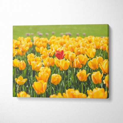 Canvas wall art featuring vibrant yellow tulips field with a single red tulip, perfect home decor.