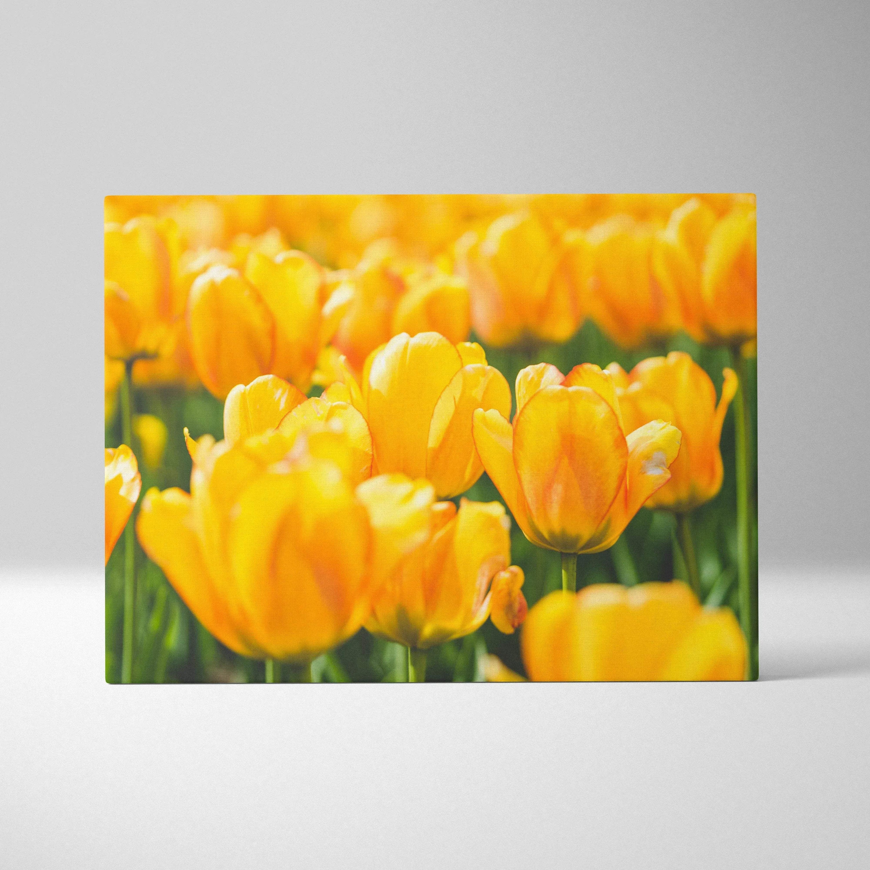 Vibrant yellow tulips close-up on canvas wall art with bright floral decor colors.