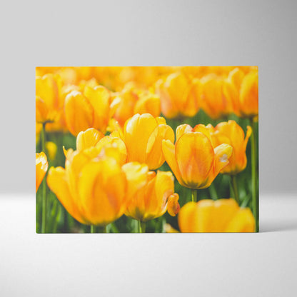 Vibrant yellow tulips close-up on canvas wall art with bright floral decor colors.