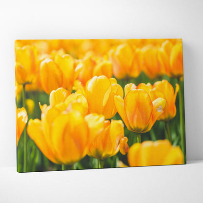 Yellow tulips close-up on vibrant canvas wall art for home decor and floral art display.
