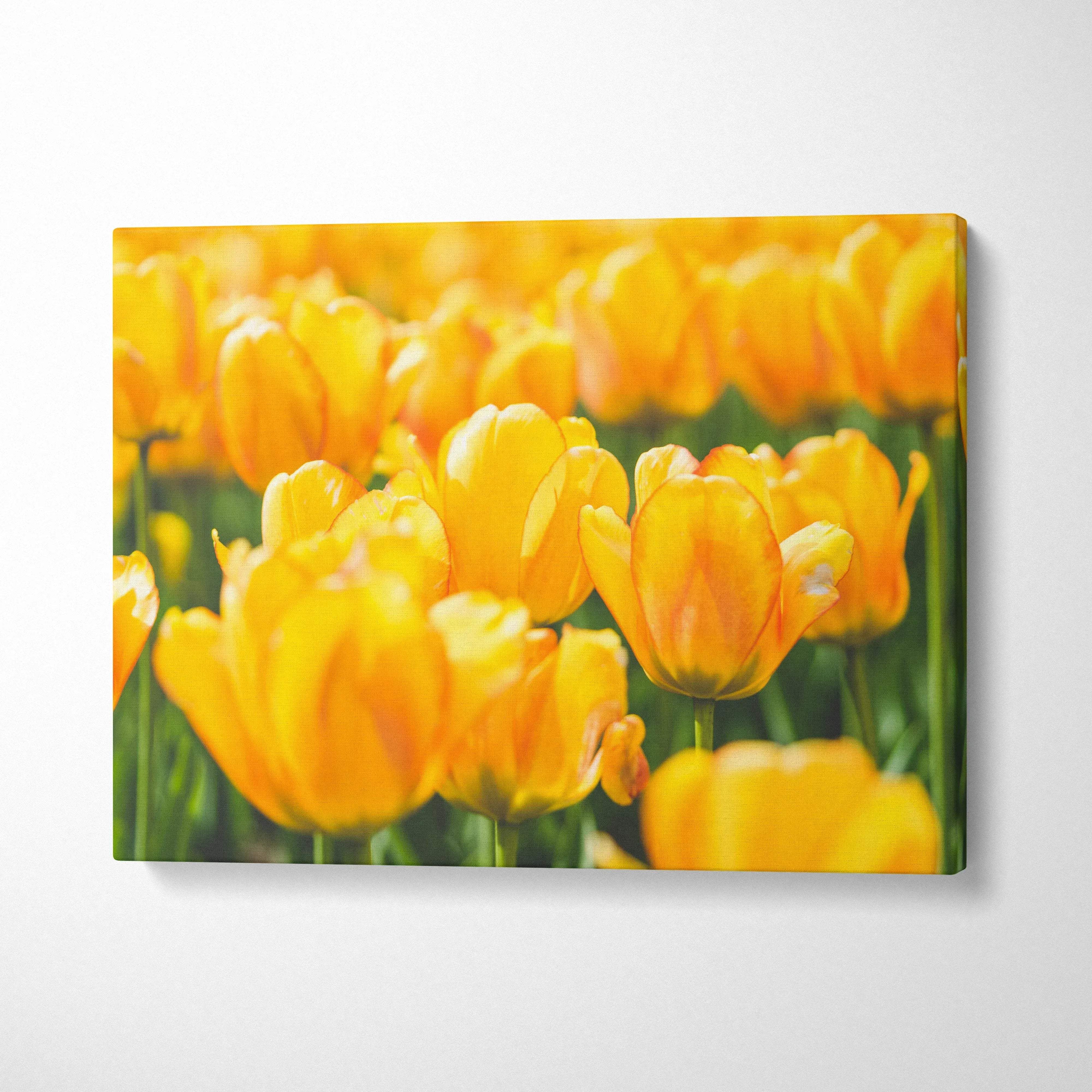 Vibrant yellow tulips canvas wall art with bright floral decor on horizontal canvas.