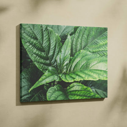 Canvas wall art featuring detailed green leaves with realistic texture and shading on a neutral background.