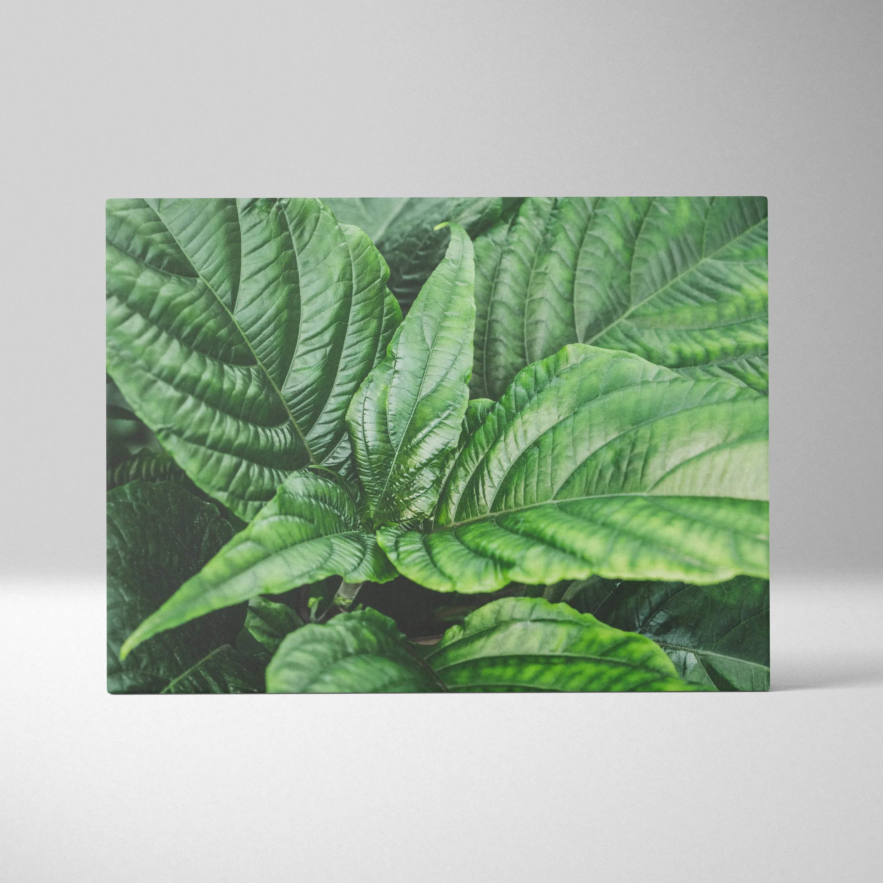 Canvas wall art featuring detailed green leaves with textured veins and overlapping layers for natural decor.