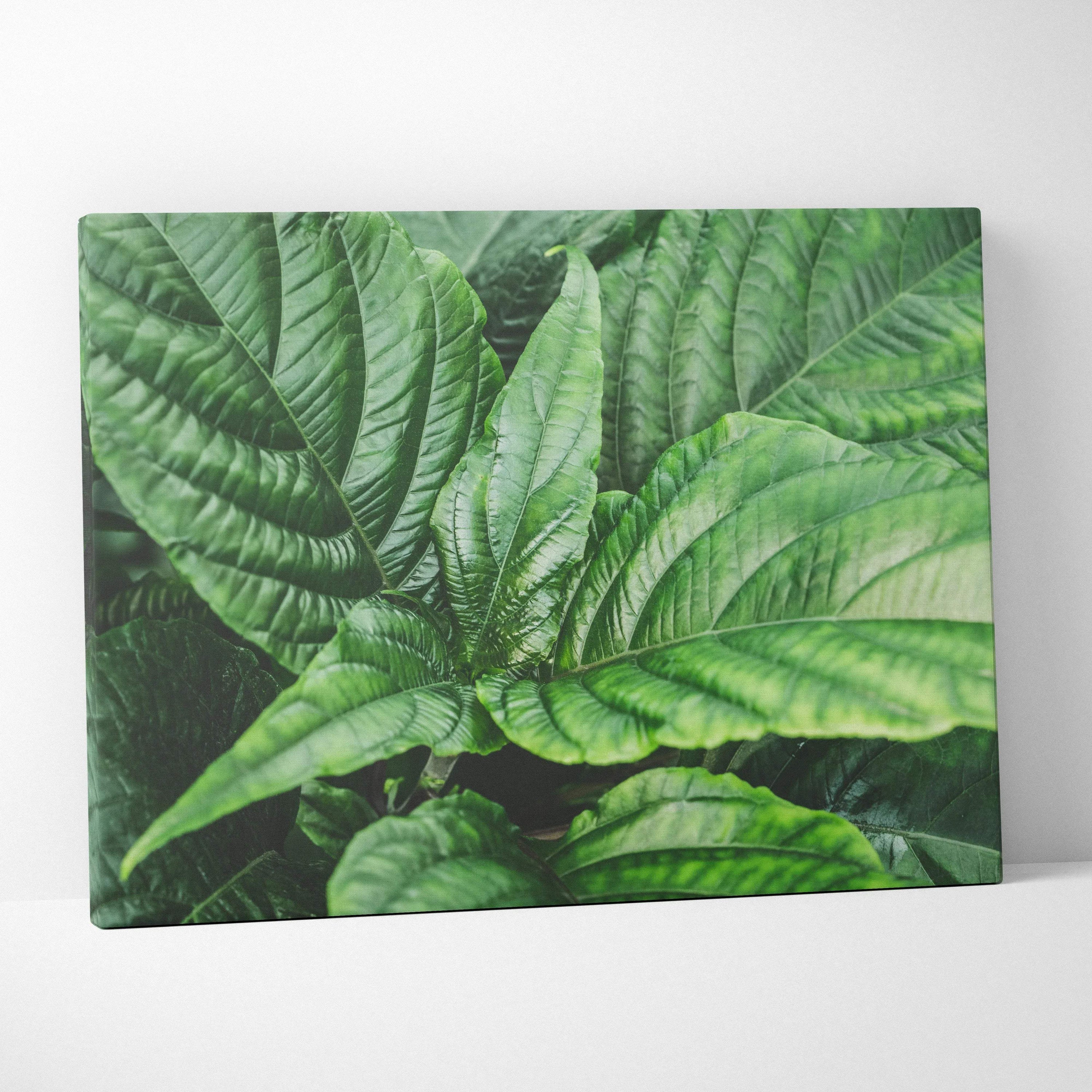 Canvas wall art featuring detailed green leaves with realistic texture and shading on a white background.