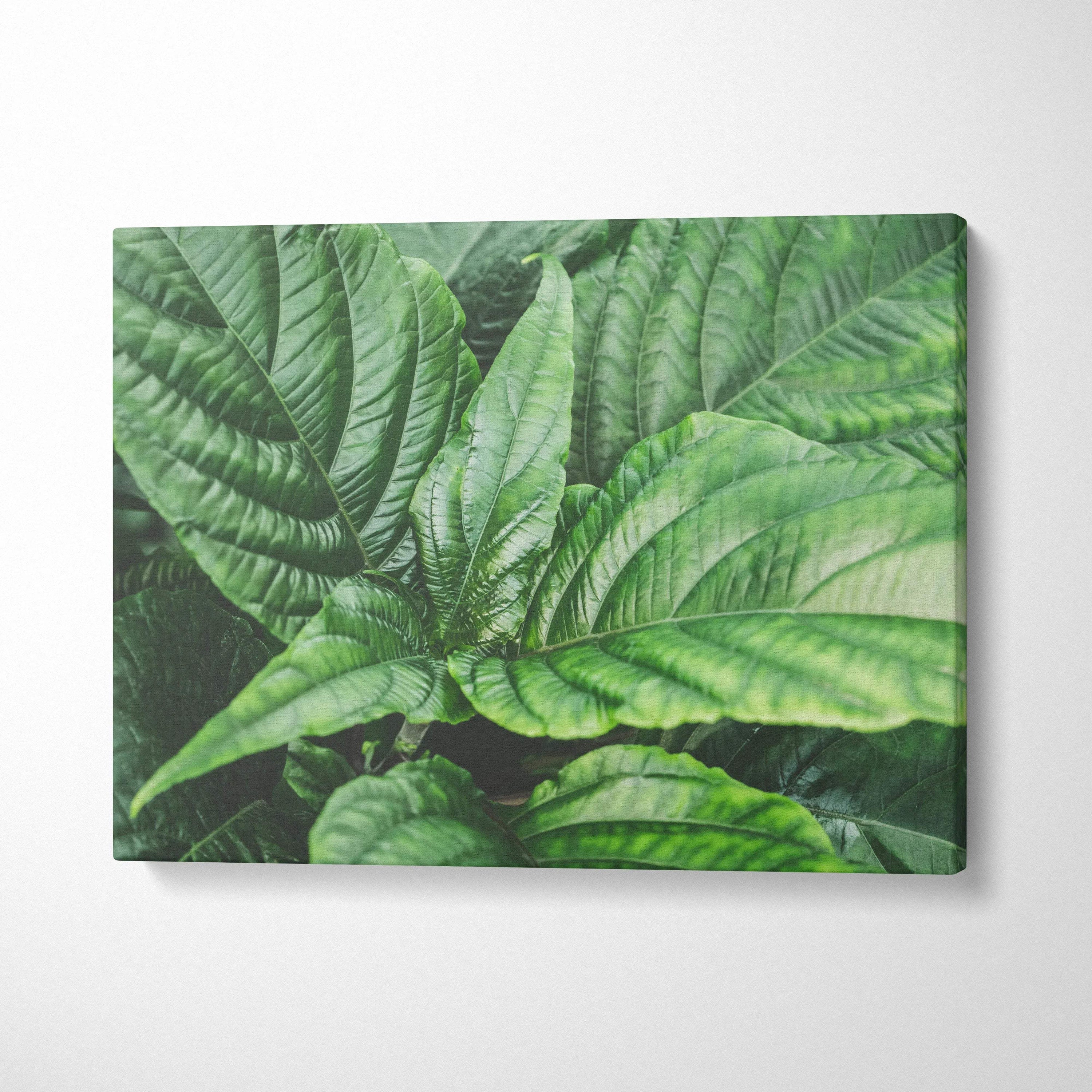 Green leafy botanical canvas wall art with detailed textured foliage decor.