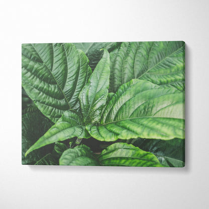 Green leafy botanical canvas wall art with detailed textured foliage decor.