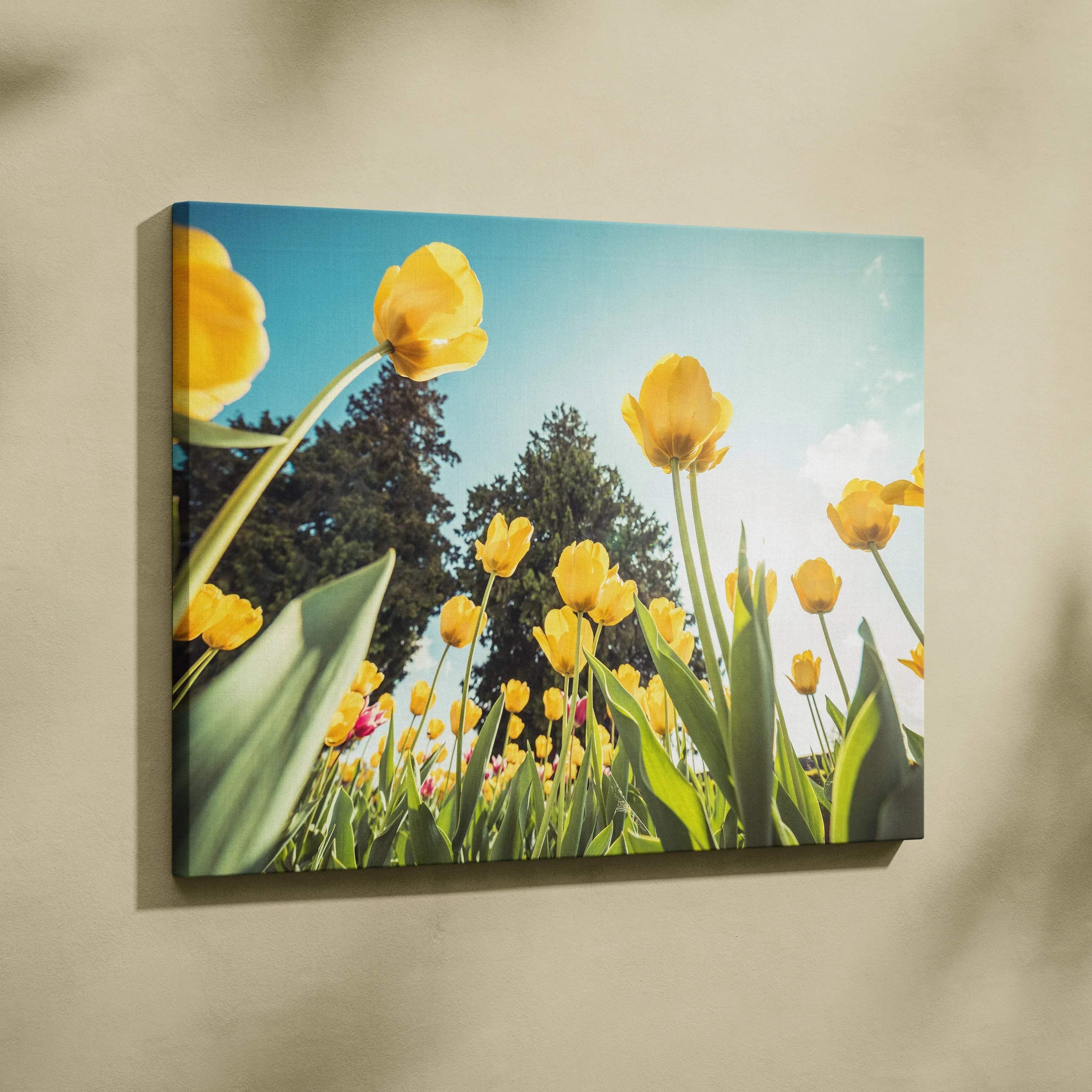 Yellow tulip floral canvas wall art with blue sky and green leaves, vibrant home decor.