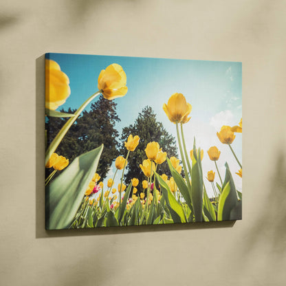 Yellow tulip floral canvas wall art with blue sky and green leaves, vibrant home decor.
