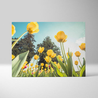 Yellow tulip floral canvas wall art with blue sky and green leaves, vibrant home decor.