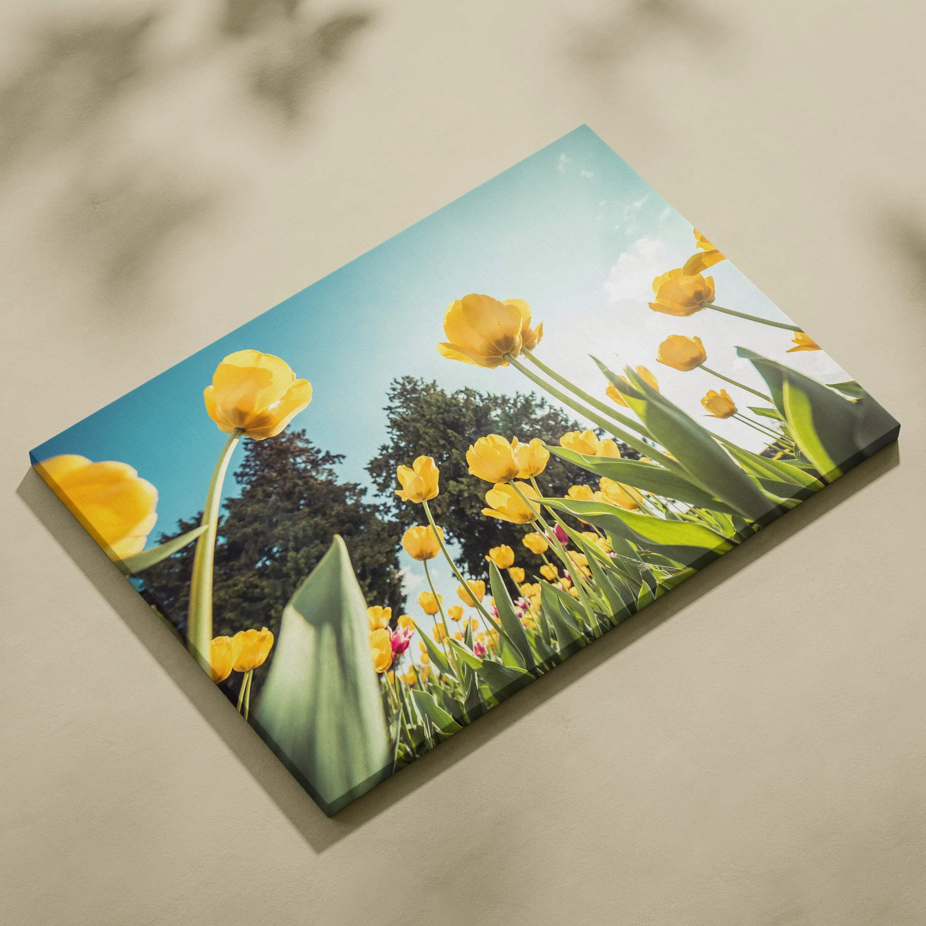 Yellow tulip floral canvas wall art with blue sky and green leaves, bright home decor.