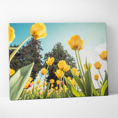 Yellow tulip floral canvas wall art with bright blue sky, vibrant home decor piece.