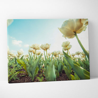 Cherry blossom canvas wall art with white flowers and blue sky for elegant home decor.