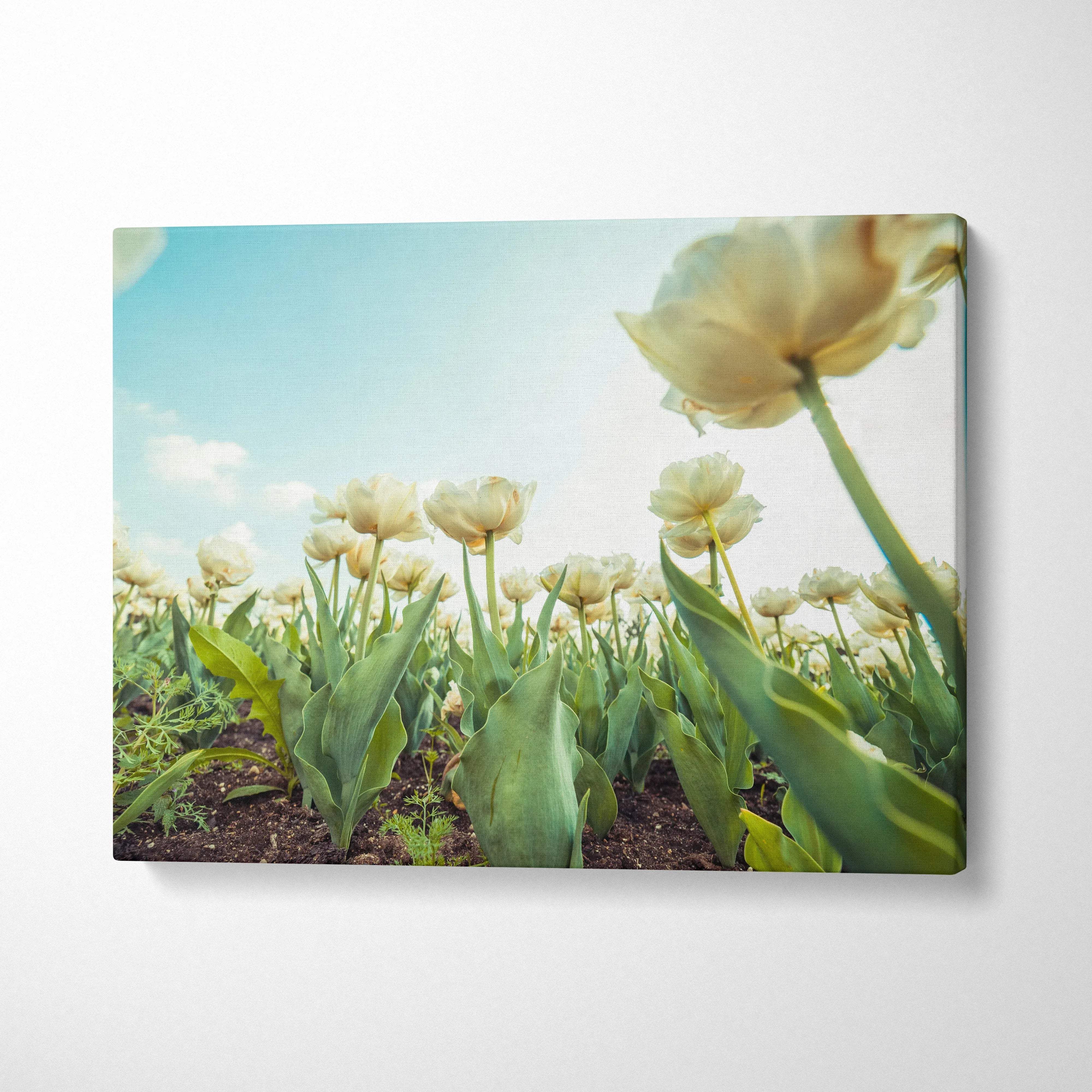 High-resolution canvas wall art featuring soft yellow tulips under a bright blue sky for elegant home decor.