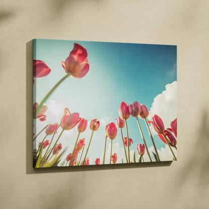 Red tulips canvas wall art with bright blue sky and white clouds decor.