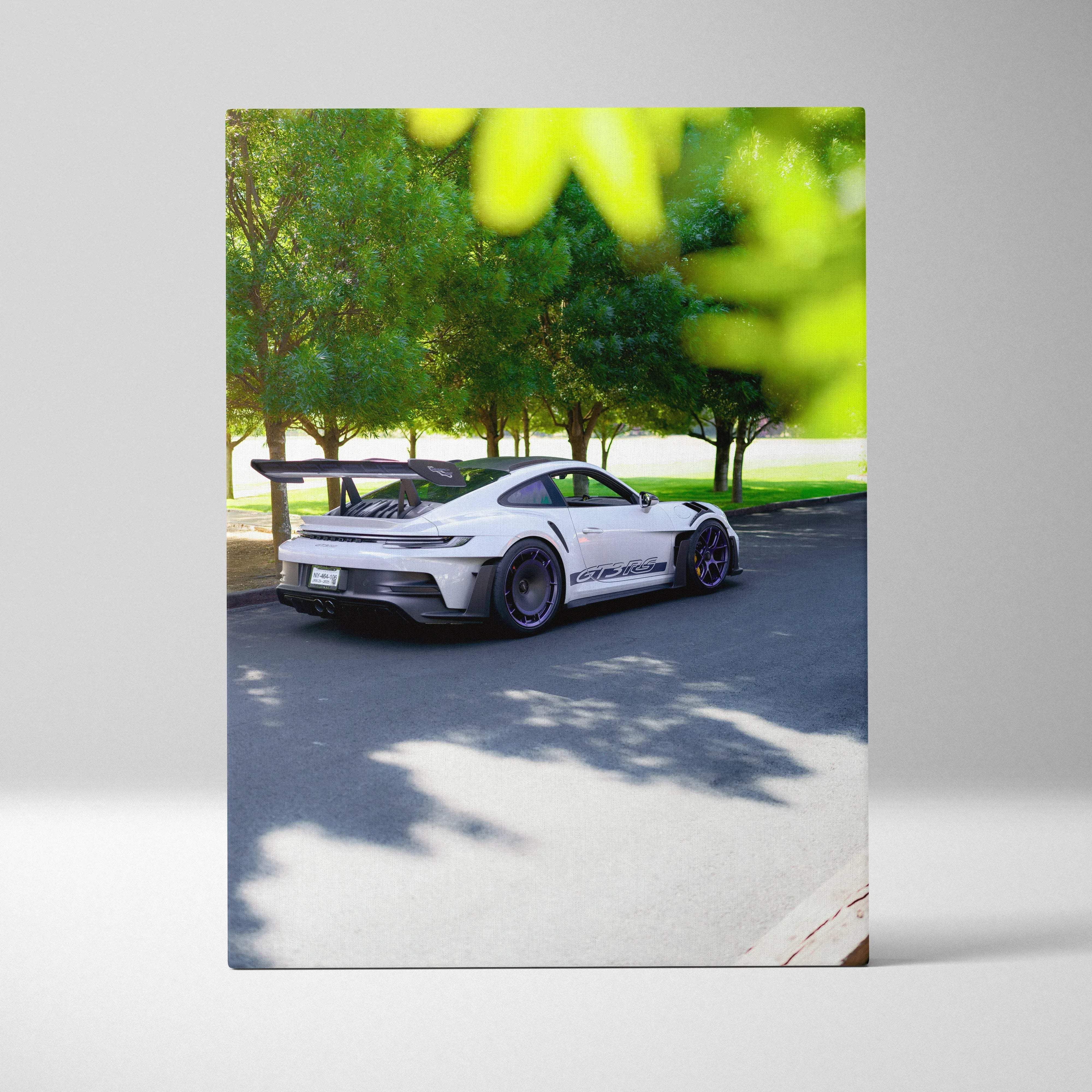 Canvas wall art featuring a white porsche 911 gt3 rs with black racing stripes in a green park setting