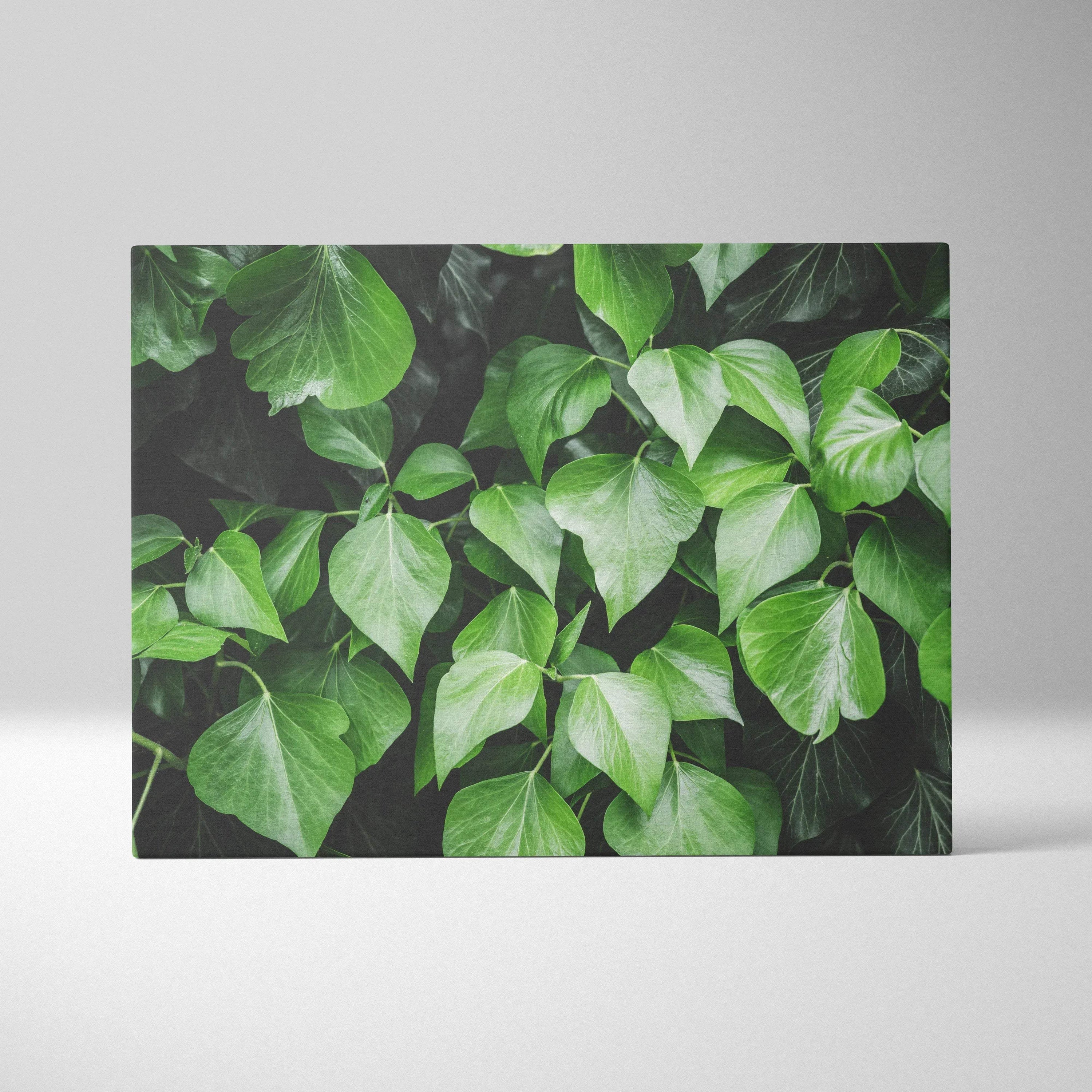 Lush green leaves with detailed veins on high-quality canvas wall art in rich natural tones.