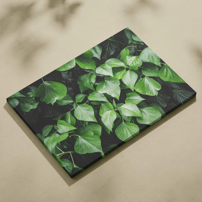 Floral wall art on canvas featuring lush green leaves with dark background decor.