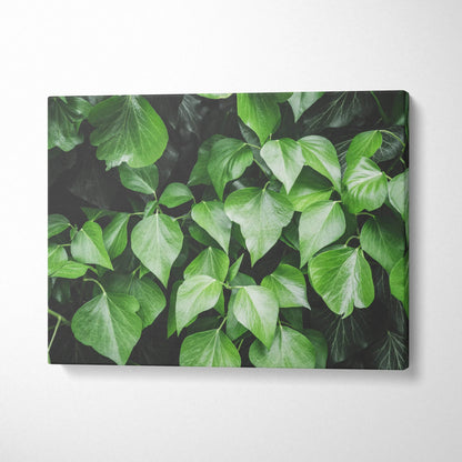 Lush green leaves on high-quality canvas wall art for vibrant home decor.