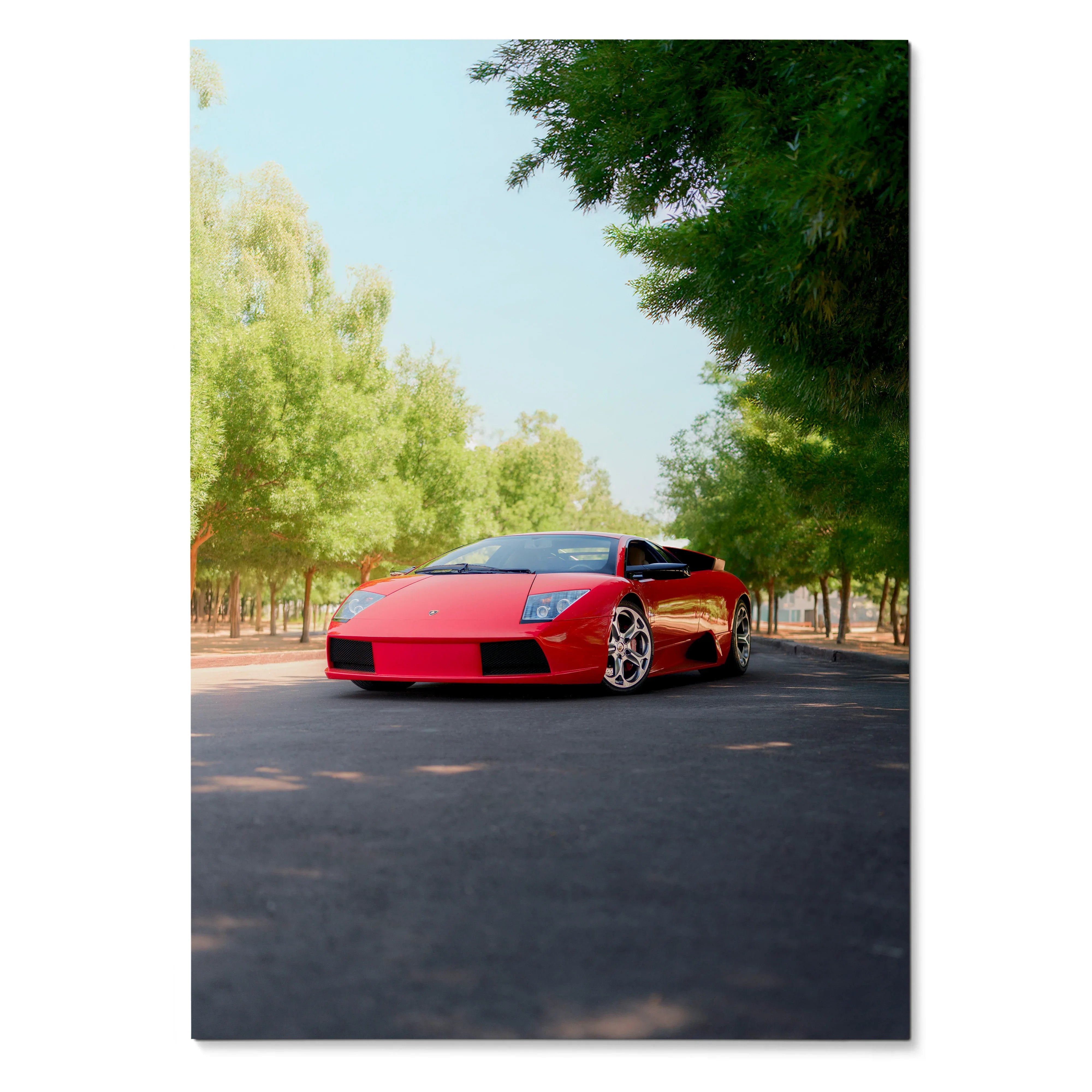 Red Lamborghini Murcielago on tree-lined road poster wall art in natural light.