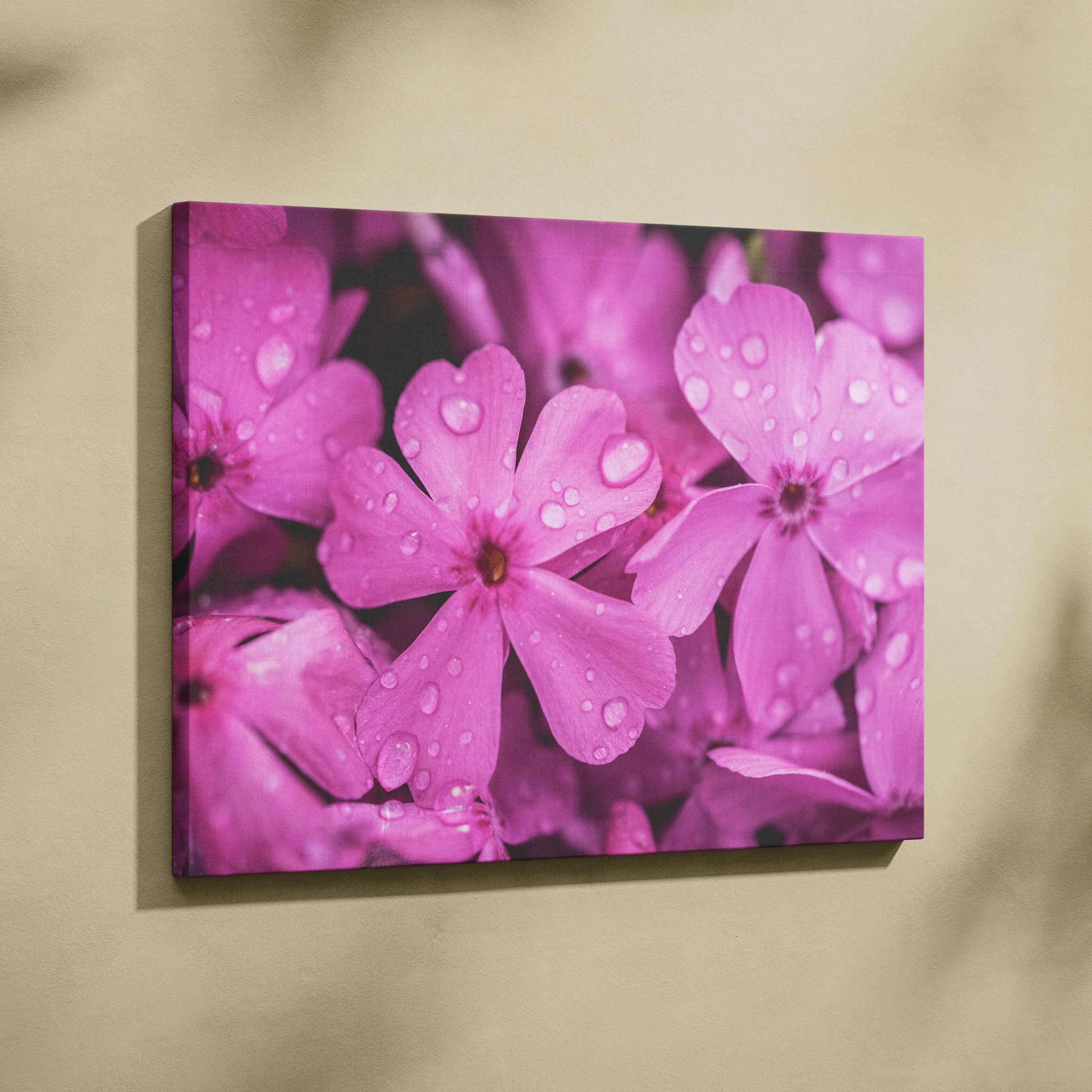 Pink cherry blossom close-up on canvas wall art with water droplets and vivid floral details.