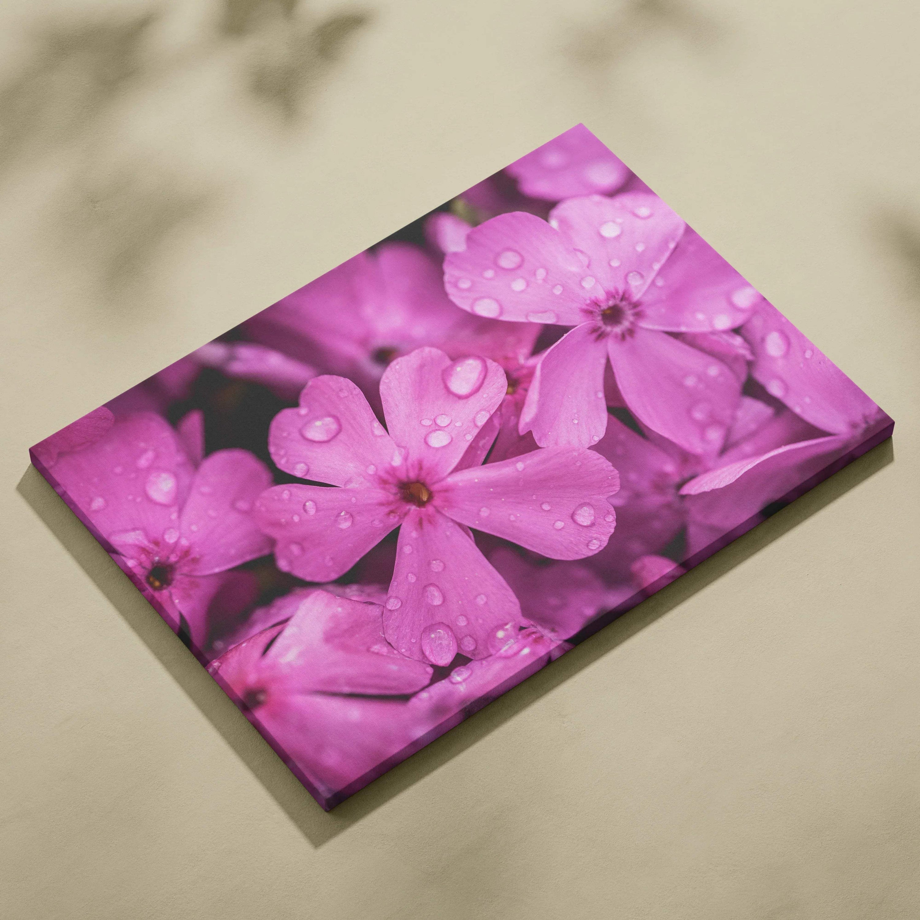 Pink cherry blossom close-up on canvas wall art with water droplets for home decor.