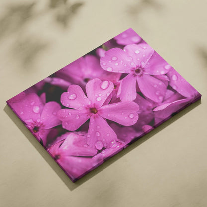 Pink cherry blossom close-up on canvas wall art with water droplets for home decor.