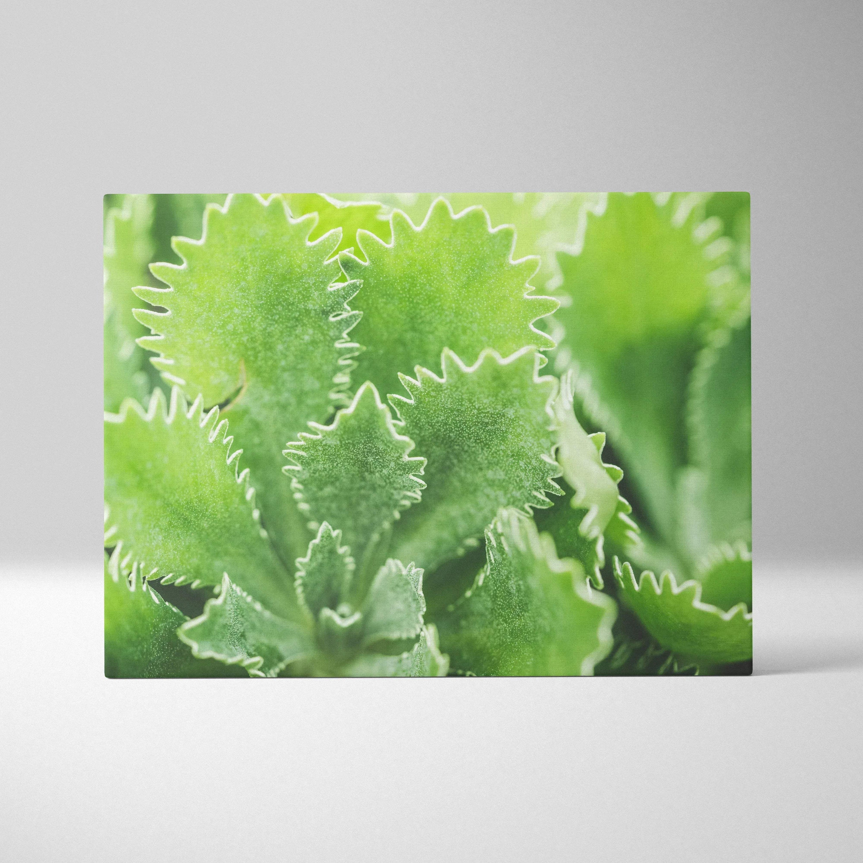 Vibrant green leafy floral design on rectangular canvas wall art with textured detail.