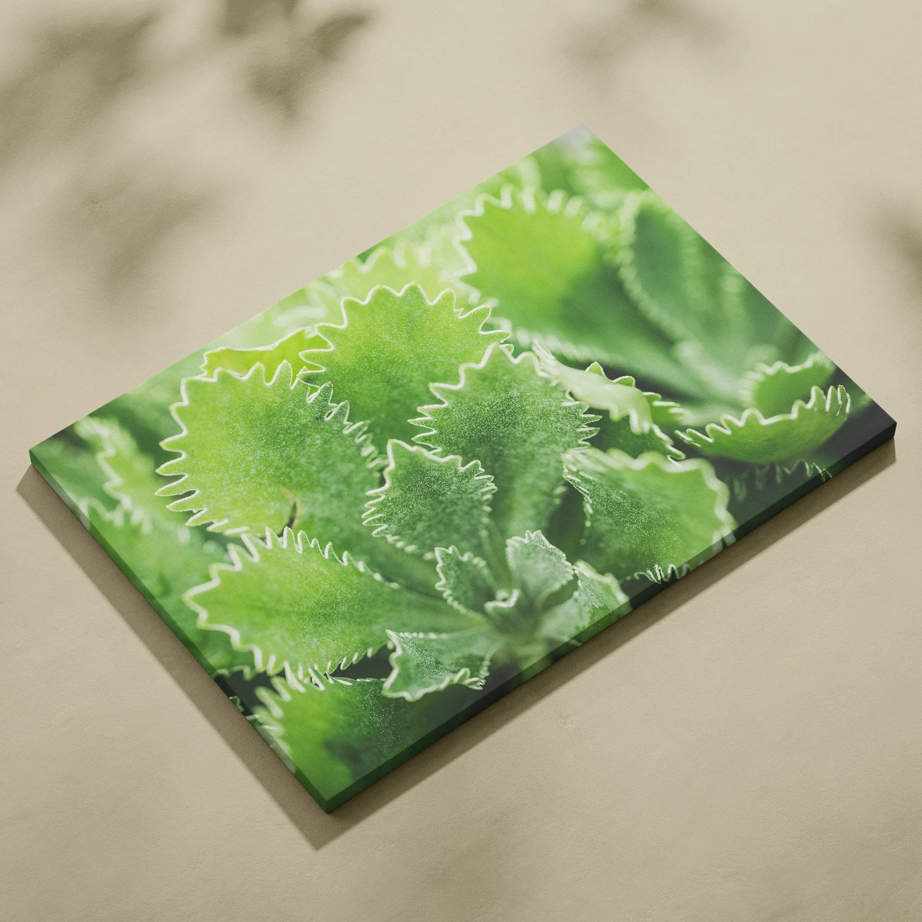 Vibrant green leafy plant on a textured canvas wall art print with natural decor tones.