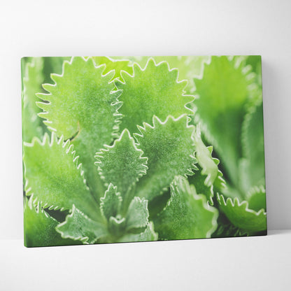 Vibrant green leaves close-up floral canvas wall art with detailed texture and soft focus background.