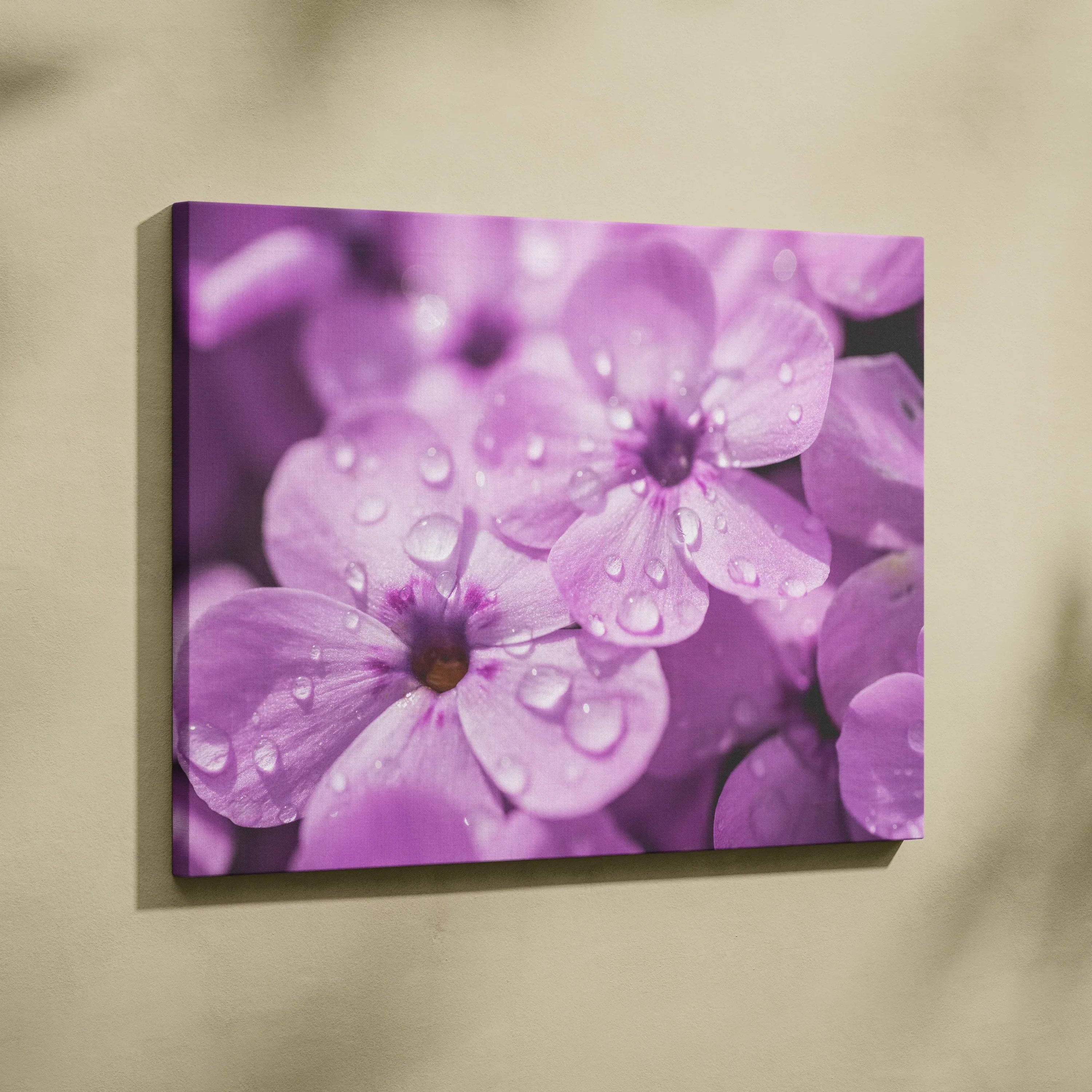 High-resolution floral canvas wall art featuring vibrant purple cherry blossoms with water droplets on petals.