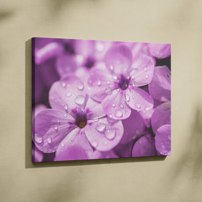 High-resolution floral canvas wall art featuring vibrant purple cherry blossoms with water droplets on petals.