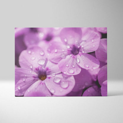 High-resolution canvas wall art featuring vibrant pink cherry blossoms with detailed water droplets.
