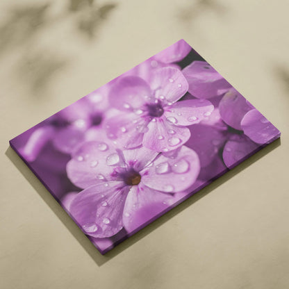 Purple cherry blossom petals with water droplets on high-resolution canvas wall art.