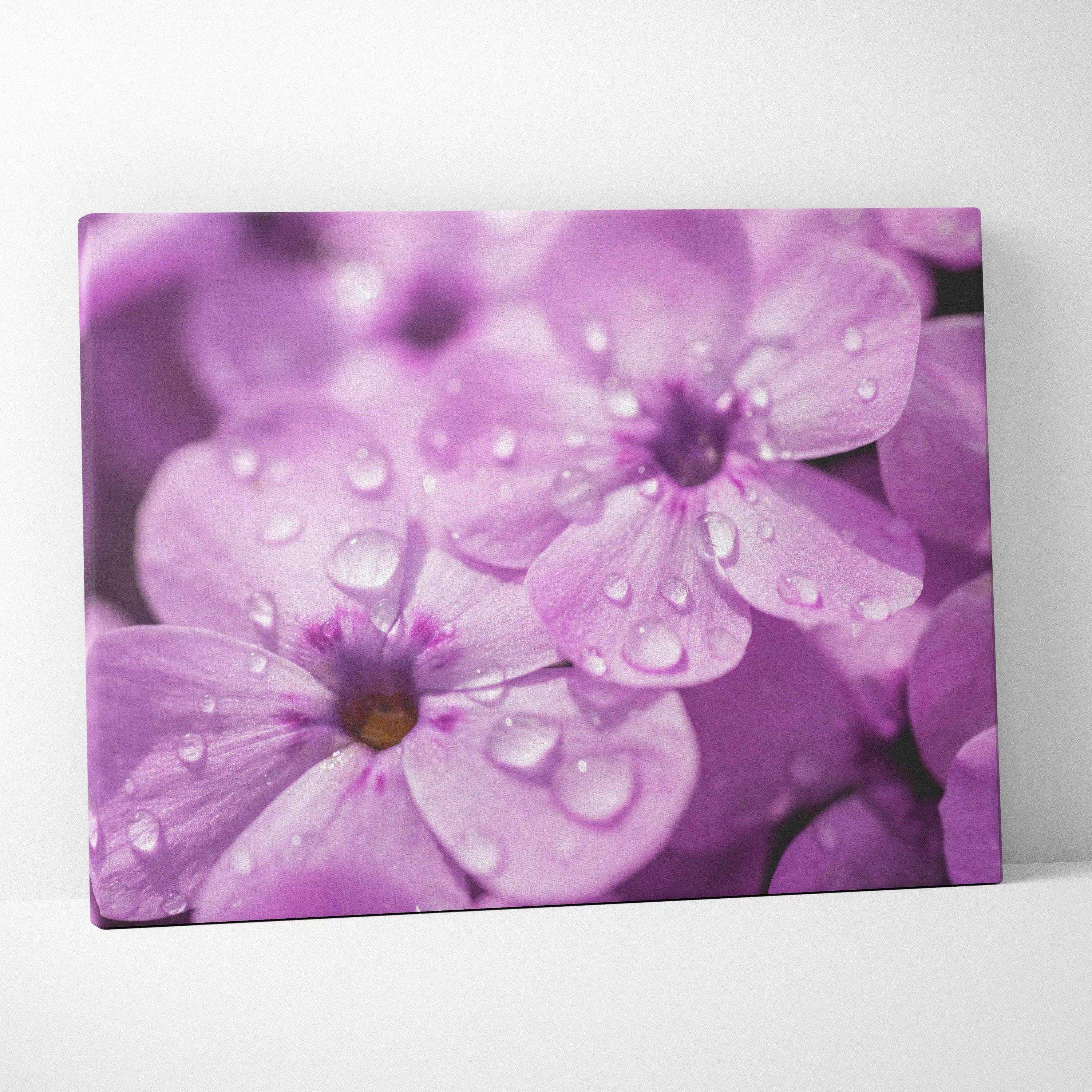 Close-up canvas wall art featuring vibrant pink cherry blossoms with water droplets on petals against a soft purple.