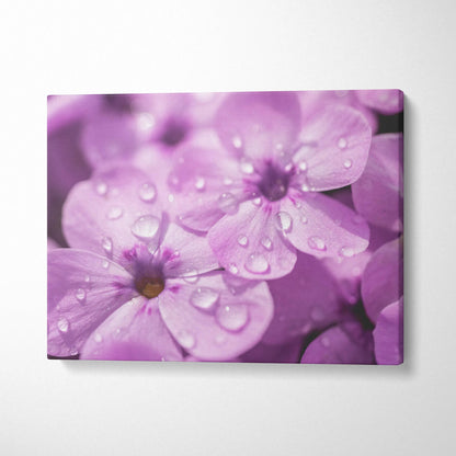 Floral canvas wall art featuring close-up cherry blossoms with pink petals and water droplets.